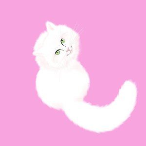 Meet your Posher, Dina